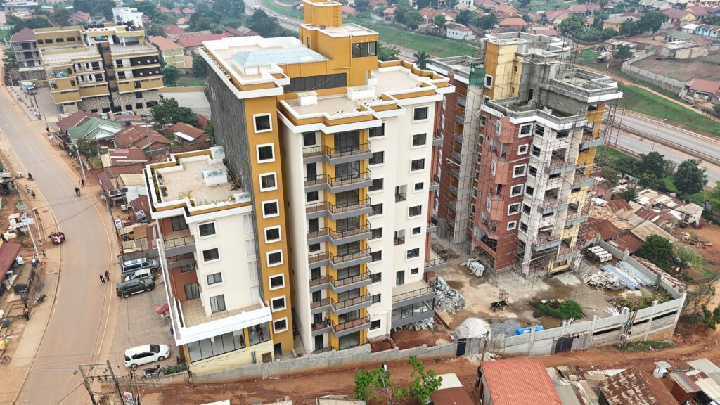 DJI 20241125112548 0013 D