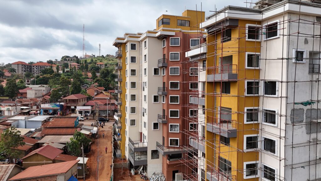 DJI 20250106144813 0247 D 1