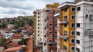 DJI 20250106144813 0247 D 1